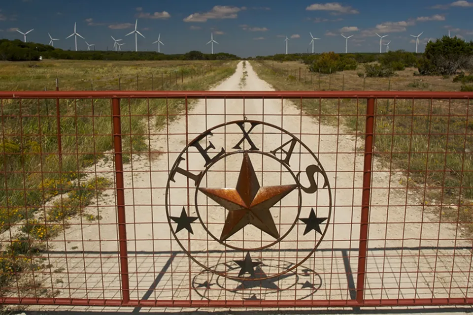 Texas Wind